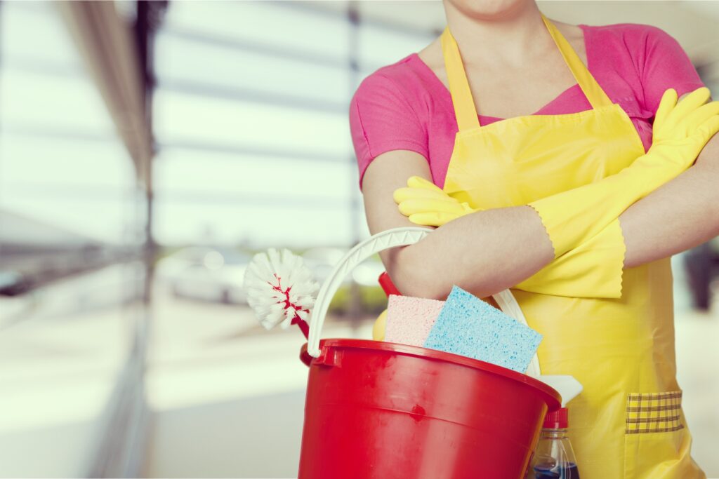spring cleaning to prevent pests